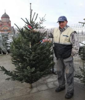 Orădenii vor putea să-şi cumpere brazi din toate cele şase pieţe